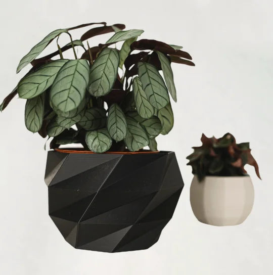 Home & Design